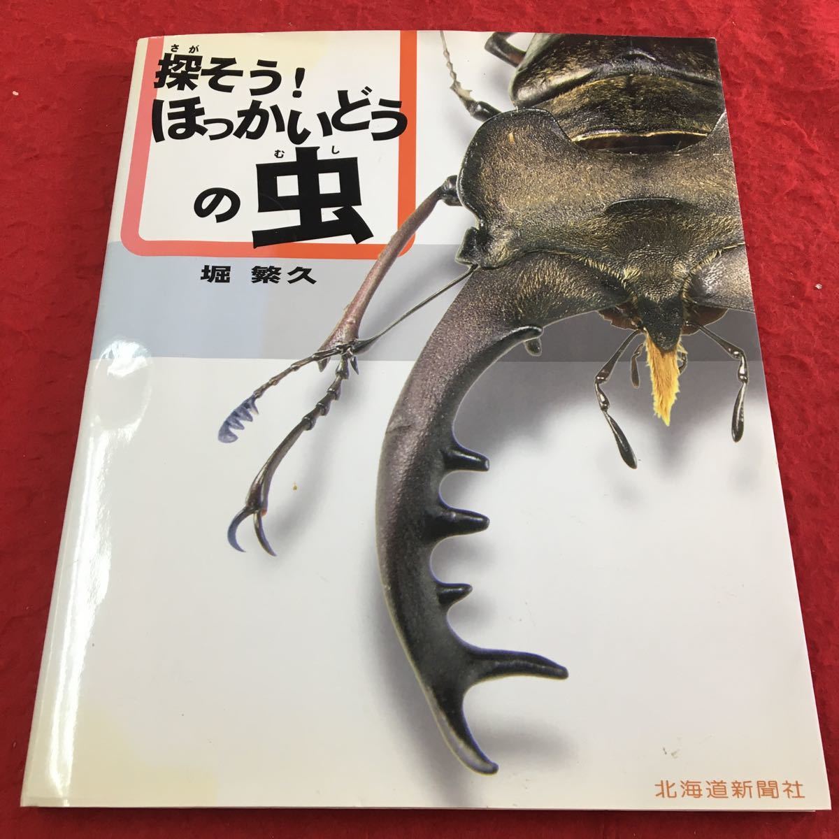 S6f-167 探そう!ほっかいどうの虫 昆虫 甲虫 昆虫採集 図鑑 北海道 生息地 整体調査 生物 毒性昆虫 危険生物 外来生物 北海道新聞社拍卖