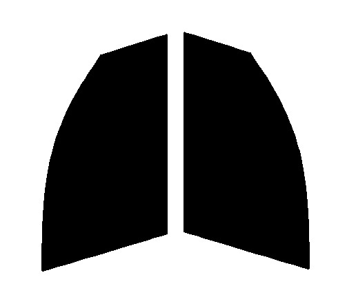 スモーク 26% 2層構造フィルム 運転席・助手席 アウディ Q5 8R カット済みカーフィルム 拍卖