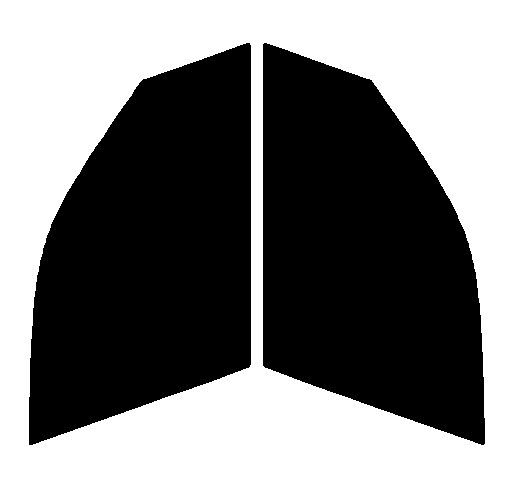 ゼノン2 オーロラ84 運転席、助手席  BMW X5 F15 カット済みフィルム拍卖