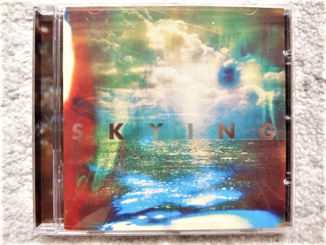【 THE HORRORS ザ・ホラーズ / SKYING 】CDは4枚まで送料198円拍卖
