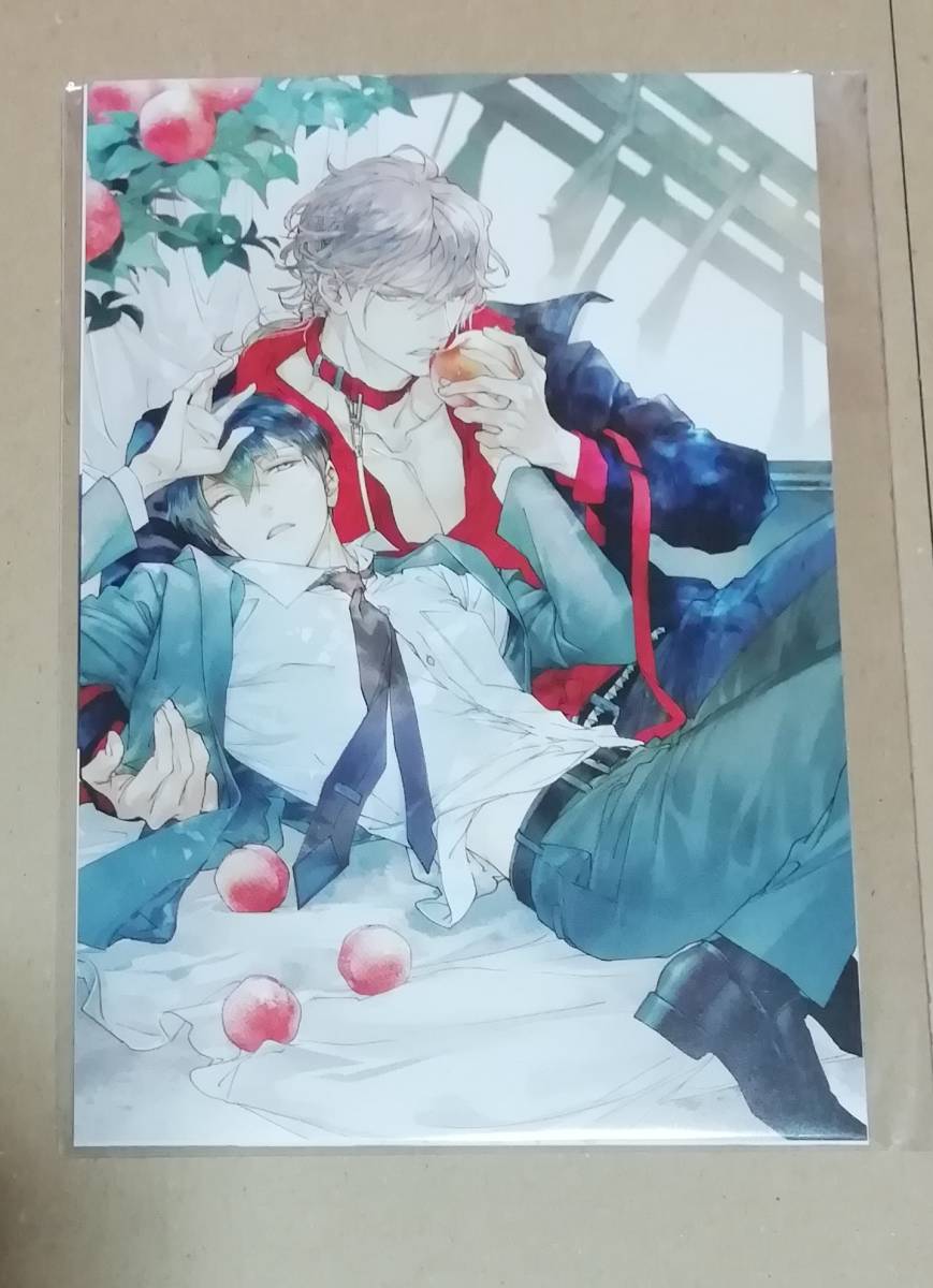 二重螺旋 ポストカードセット 円陣闇丸 吉原理恵子 キャラ文庫創刊25周年記念展拍卖