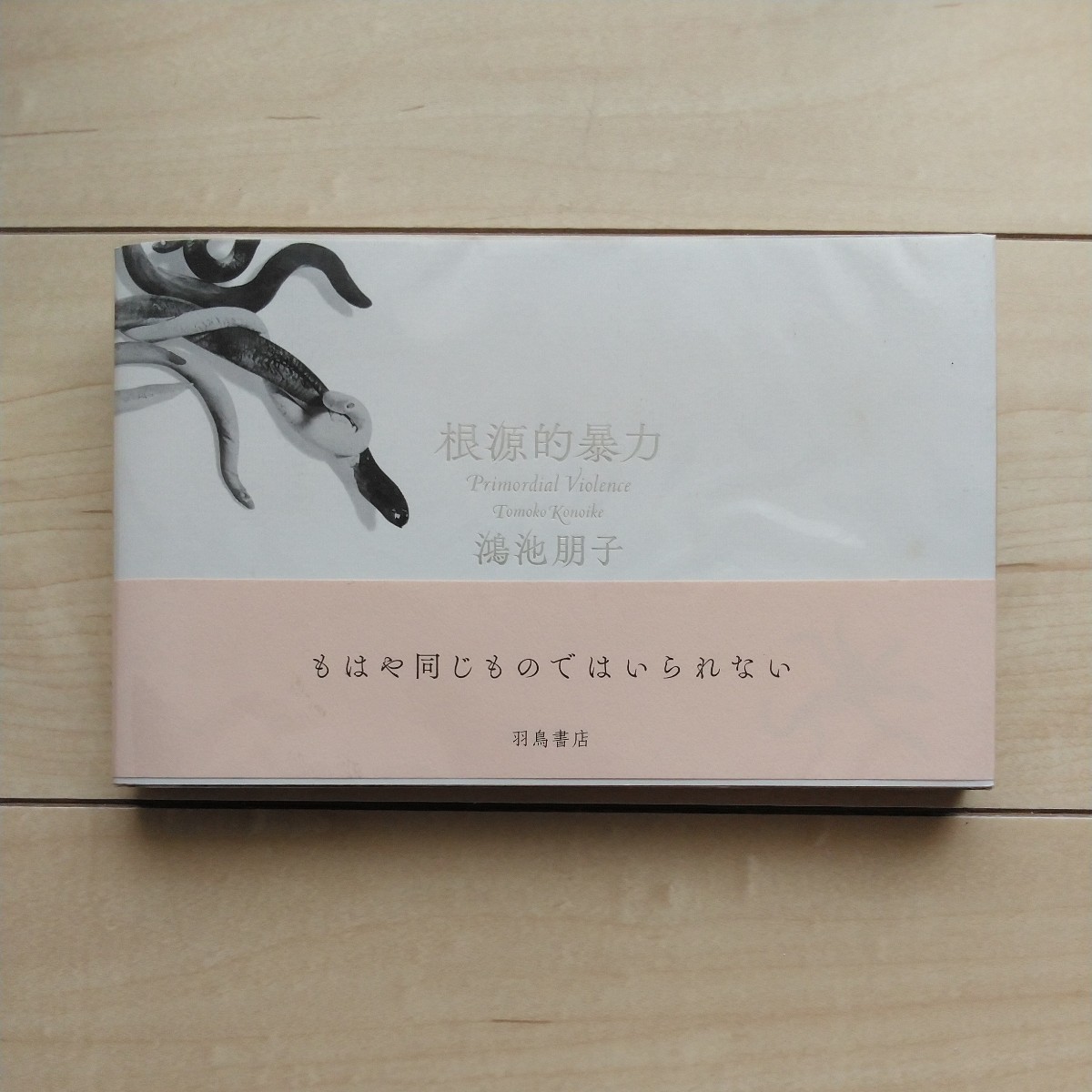 ■『根源的暴力(Primordial Violence)』鴻池朋子著。2015年初版カバー帯。羽島書店。第67回芸術選奨文部科学大臣賞受賞。附録「皮緞帳」。拍卖