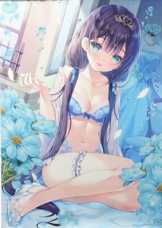 みわべさくら Blue princess B2タペストリー 未開封拍卖