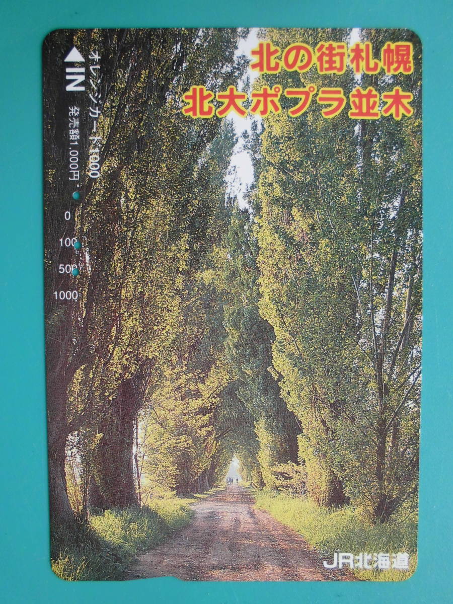 JR北 オレカ 使用済 北大 ポプラ並木 ② 【送料無料】拍卖