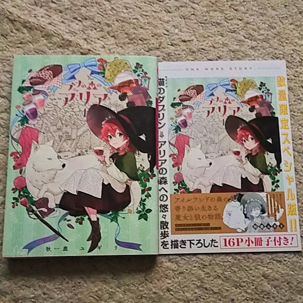 漫画『ブナの森のアリア』1巻【数量限定スペシャル版】秋鹿ユギリ《小冊子付き》拍卖