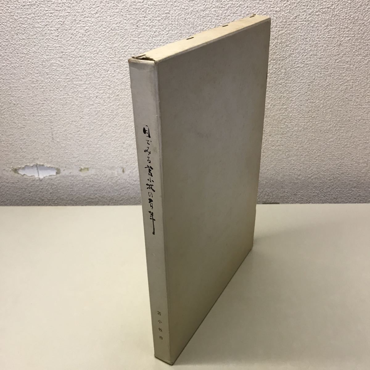 R01◆苫小牧市開基百年記念 目でみる苫小牧の百年 昭和48年発行 苫小牧市 北海道 市史 日本史 歴史 230622拍卖