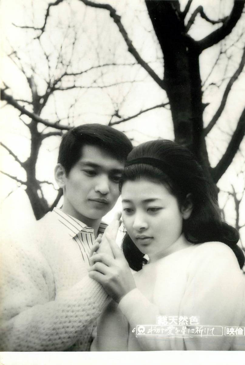 p36523『わが愛を星に祈りて』スチル 高田美和拍卖