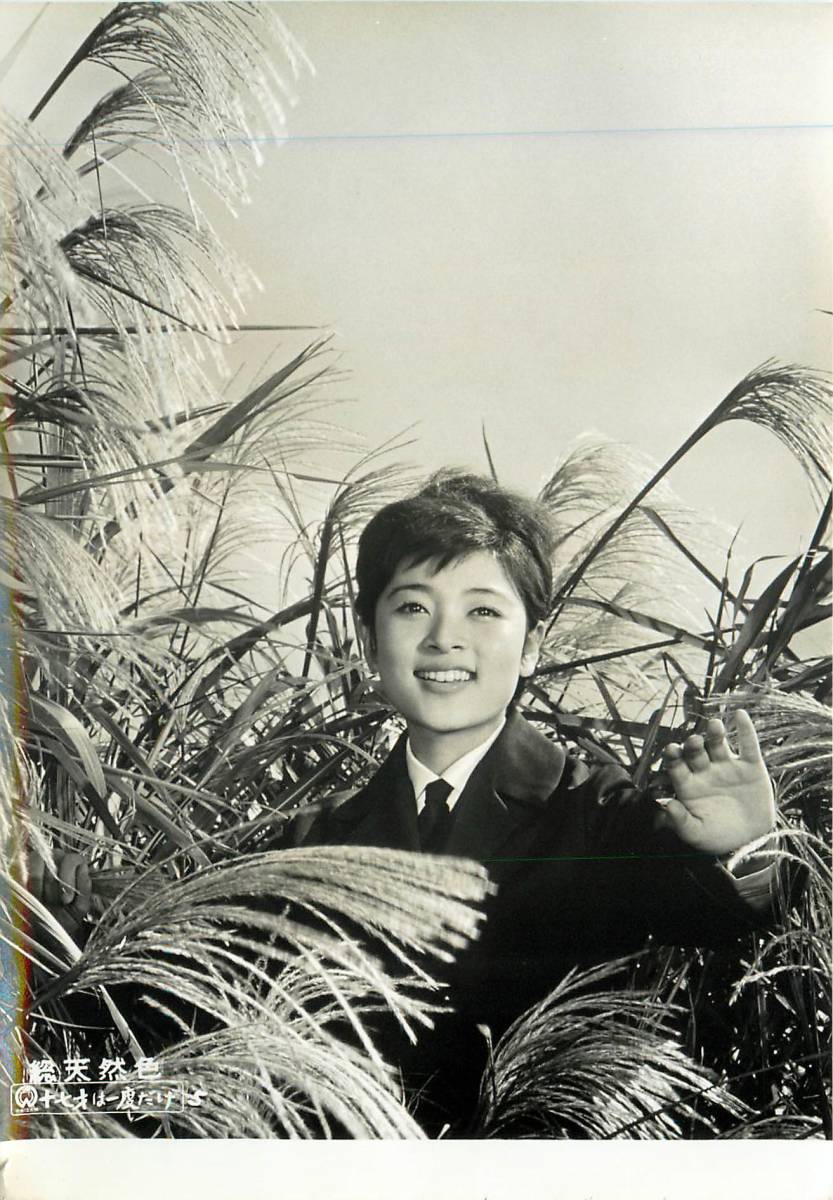 p36507『十七才は一度だけ』スチル 高田美和 青山良彦 渚まゆみ 田宮二郎 船越英二拍卖