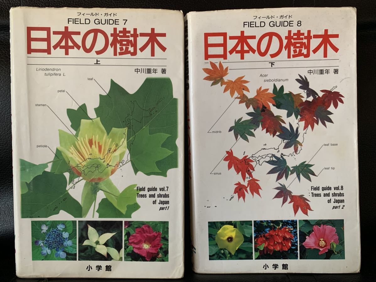 フィールドガイド 日本の樹木 上・下 小学館拍卖