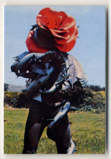 ◆防水対策 厚紙補強 カルビー 仮面ライダーチップスカード(2003 復刻版) 257番b・裏面=バラランガ、表面=青空バック トレカ 即決拍卖