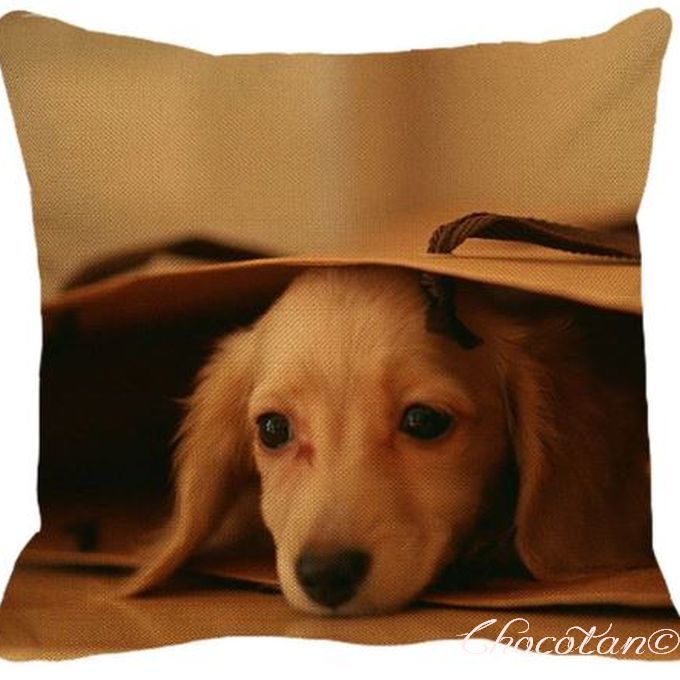 【送料無料】ダックスフンド a82クッションカバー【新品】拍卖