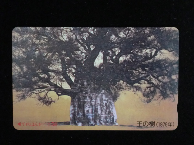 ◎テレホンカード 「1976年 星襄一 樹シリーズ(王の樹)木版画」50度数☆f4拍卖