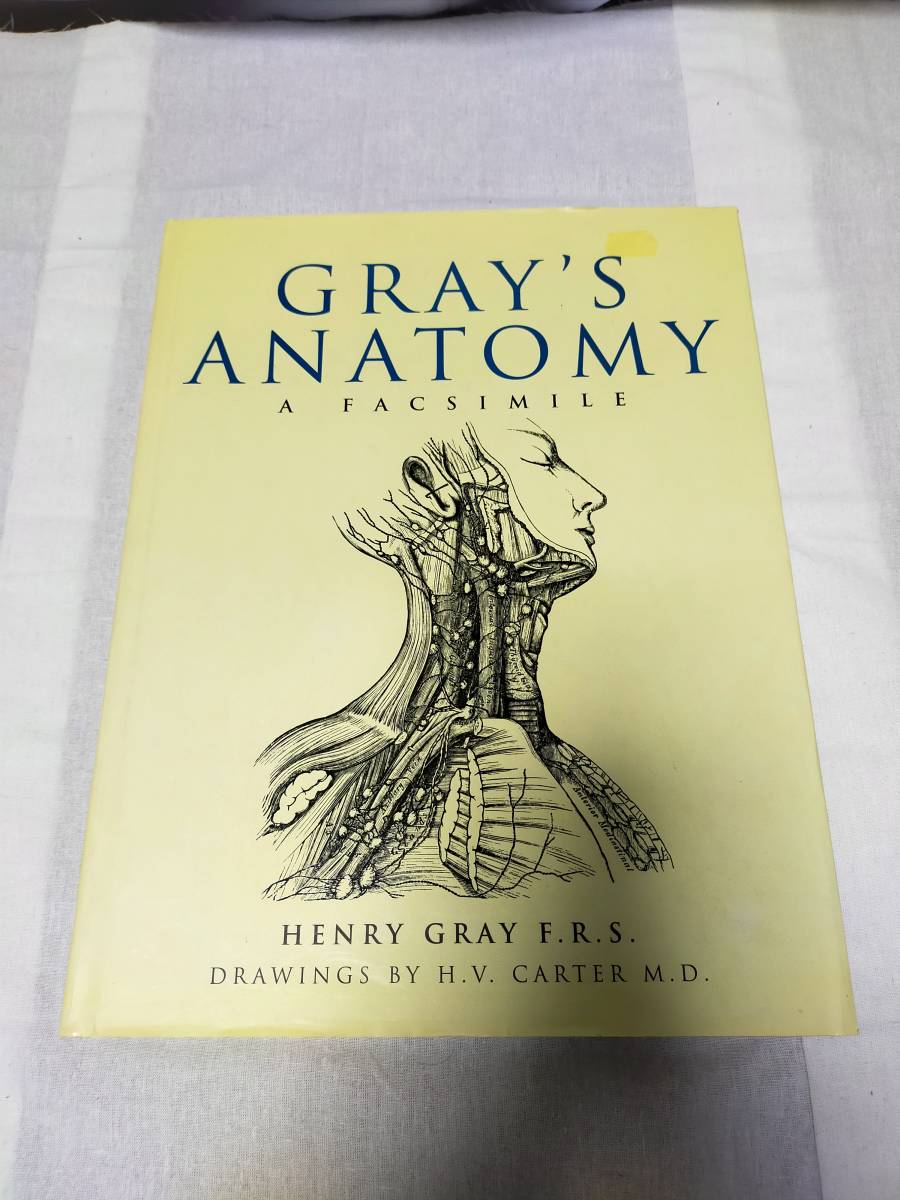 洋書 人体図鑑 GRAY‘S ANATOMY 解剖 図鑑拍卖