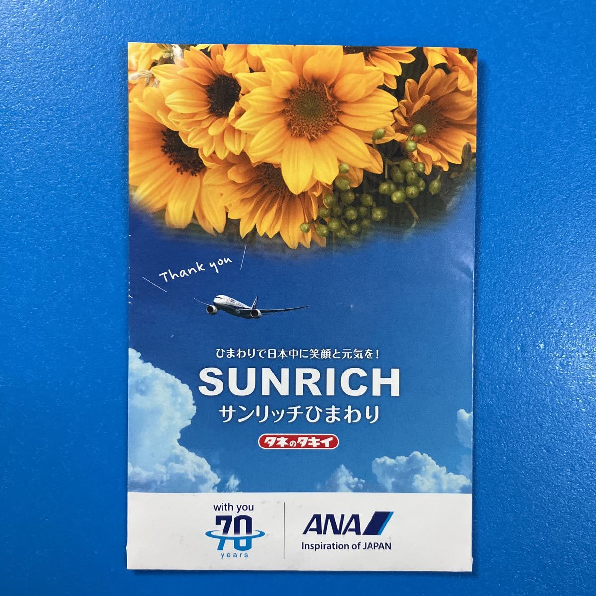 ★送料無料④★ サンリッチひまわり種 約100粒 タネのタキイ タキイ種苗が開発した、ひまわり拍卖