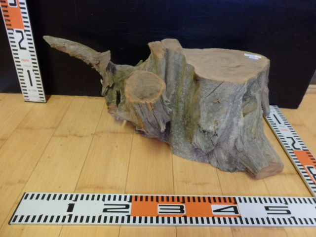 e3061301 神代杉☆無垢板1枚板 木材 板 DIY 板材 天板 棚板 テーブル 看板 花台など種類豊富!拍卖