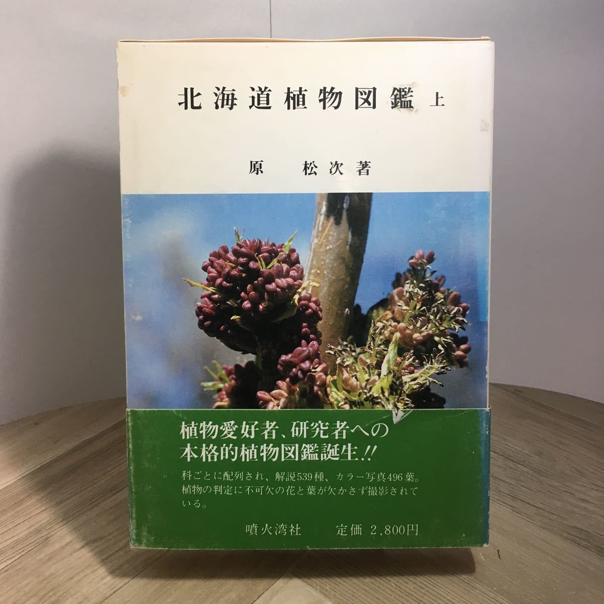107d●北海道植物図鑑 上巻 原松次 噴火湾社 1981年拍卖
