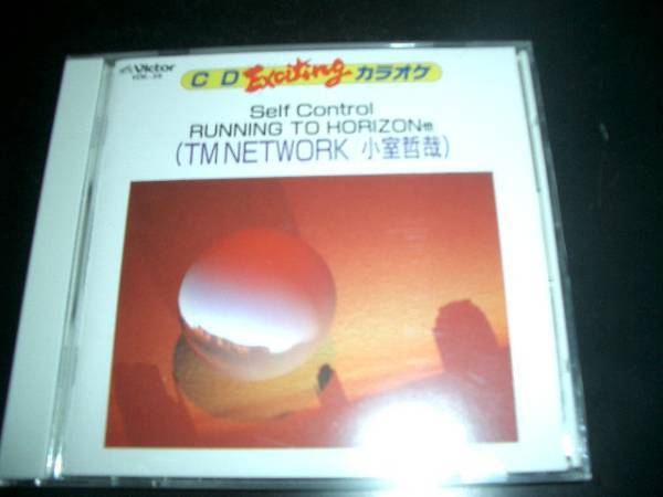 TM NETWORK CDエキサイティングカラオケ 超美品!全15曲拍卖