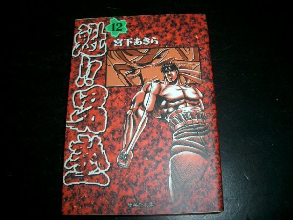 文庫漫画 暁!!男塾 12巻 初版本 宮下あきら 即決拍卖