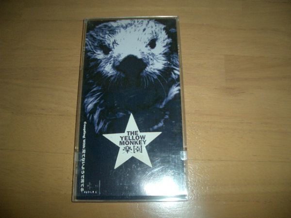 12cmCD THE YELLOW MONKEY 楽園 CDケース付き!即決拍卖