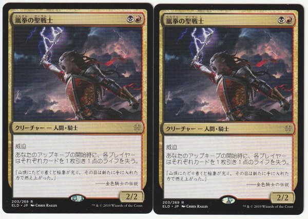 ELD 嵐拳の聖戦士/Stormfist Crusader 日本語2枚セット拍卖