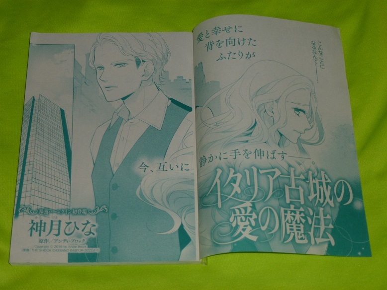 ★イタリア古城の愛の魔法★神月ひな★増刊ハーレクイン2023.3切抜★送料112円拍卖