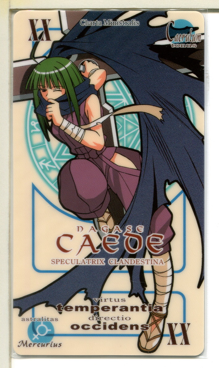 魔法先生ネギま! パクティオーカード!(5)拍卖