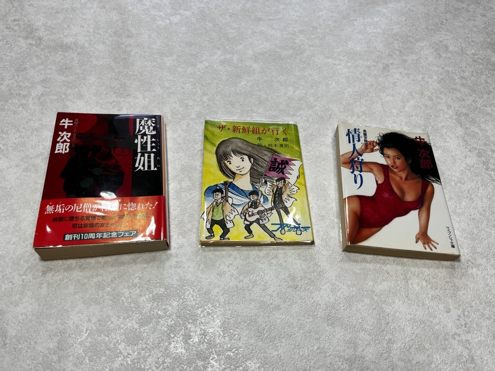 即決 送料無料 新品ビニールカバー付 全て初版 ザ・新鮮組が行く 魔性姐 情人狩り/おんな狩り★くぎ師サブやん 包丁人味平 作者 牛次郎 3冊拍卖