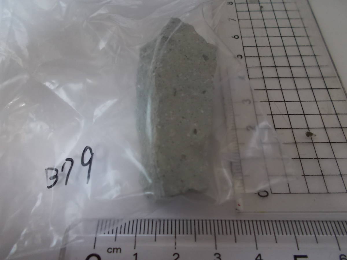 笏谷石(しゃくだにいし)B79★福井県足羽山産★岩石標本★デイサイト軽石火山礫凝灰岩★越前青石拍卖