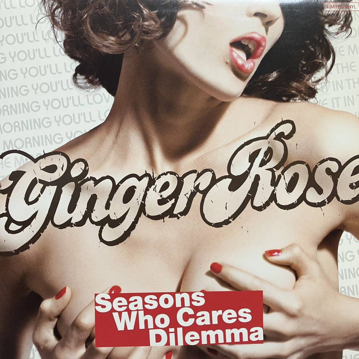 【Dilemmaカバー】Ginger Rose / Seasons Who Cares Dilemma Extended 12Mix Nelly Kelly Roland カバー拍卖