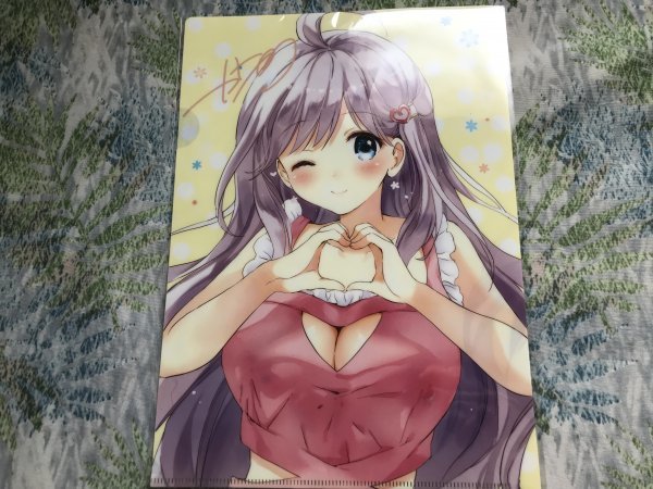 209クリアファイル (つかこ) C94/くりもも メロンブックス特典 拍卖