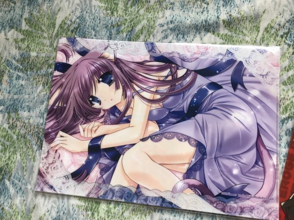 209クリアファイル (龍牙翔) C80/龍の金曜日拍卖