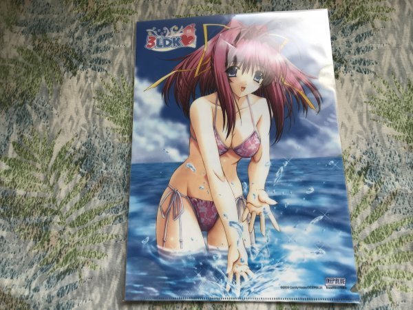 209クリアファイル 3LDK (DEEPBLUE) きみづか葵 特典 水着拍卖