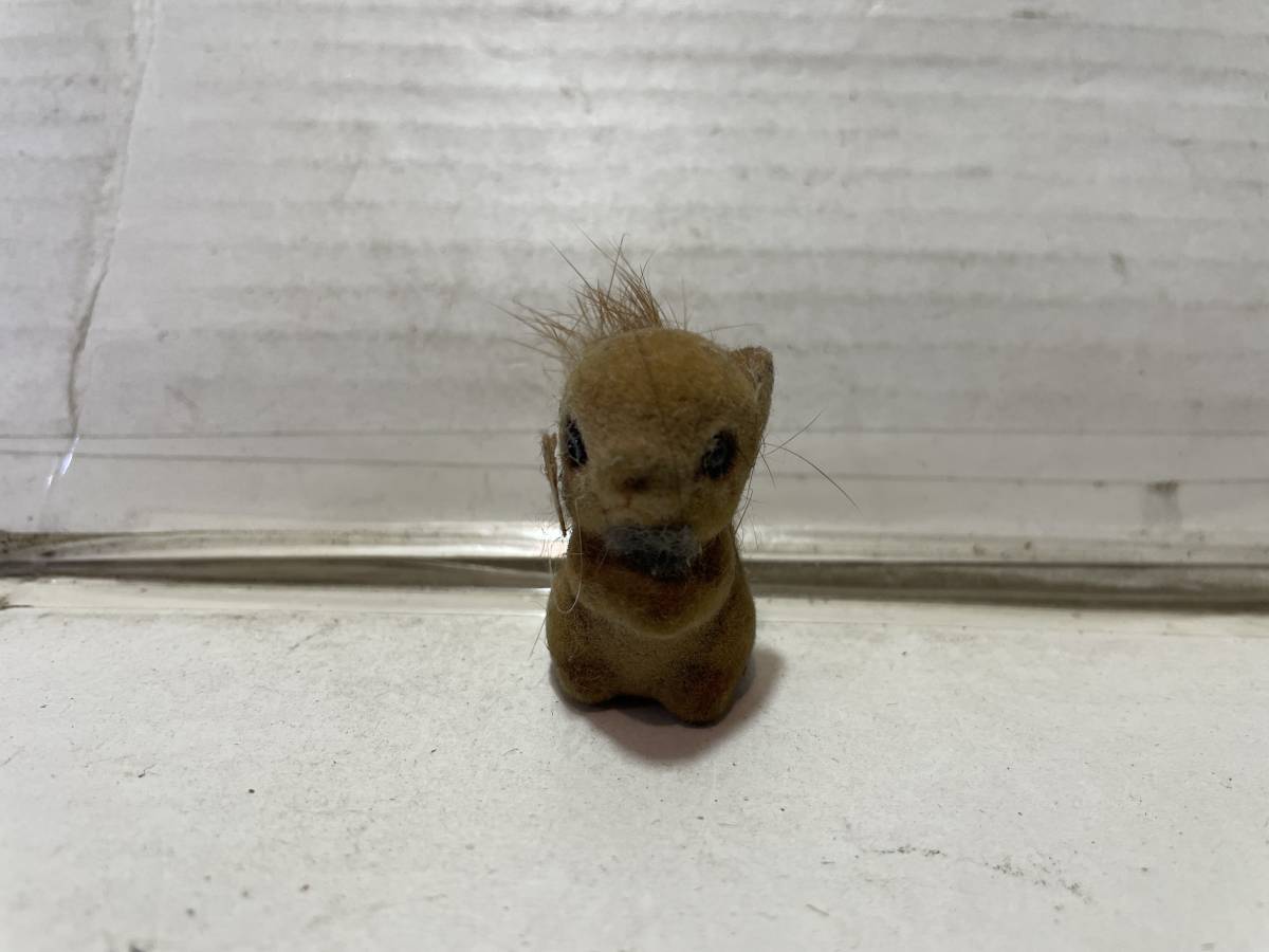 お土産 オーストラリア りす拍卖