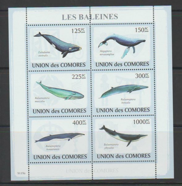 コモロ切手『クジラ』6枚シート 2009拍卖