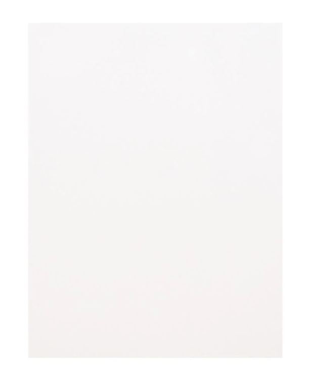 SCUD(スカッド) アコースティックギター用 ピックガードシート F-PGCL クリア拍卖