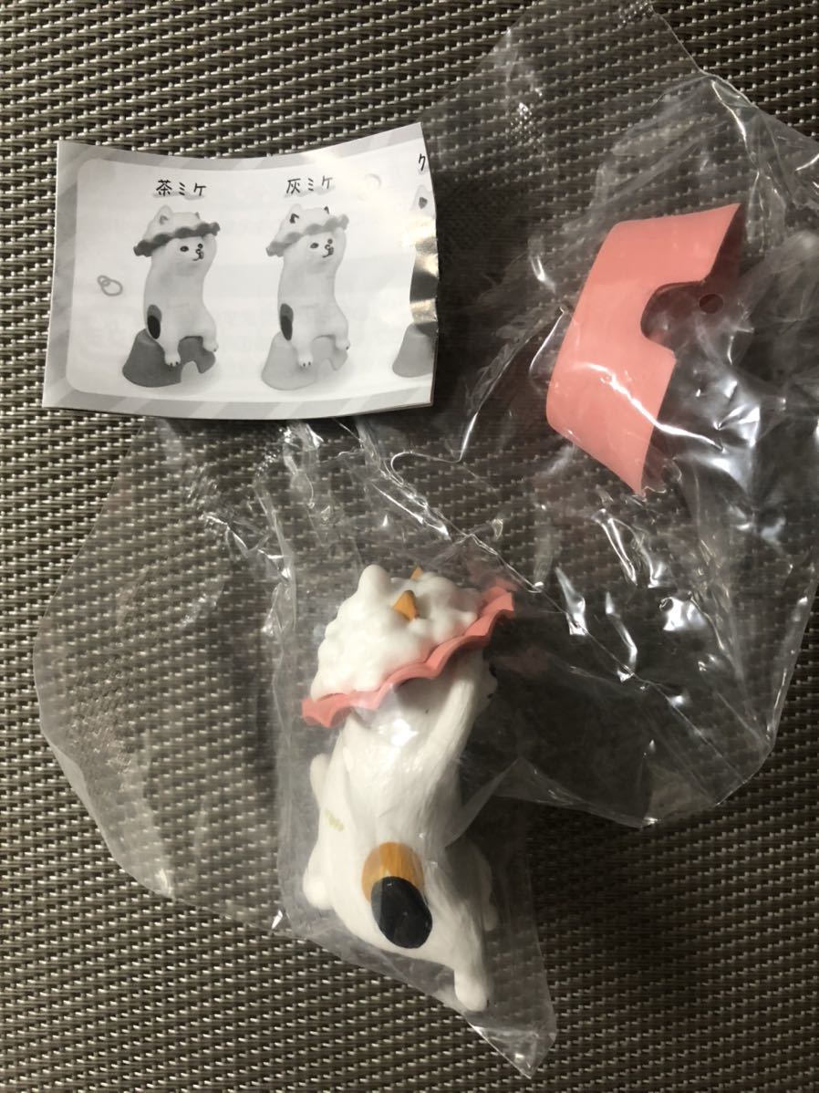ポケファス pokefasu シャンプーキャット 茶ミケ 猫 ネコ ガチャ ガチャガチャ LINE スタンプ 食玩拍卖