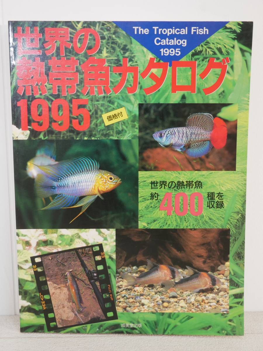 ■本◇成美堂出版☆世界の熱帯魚カタログ1995 世界の熱帯魚約400種を収録■拍卖