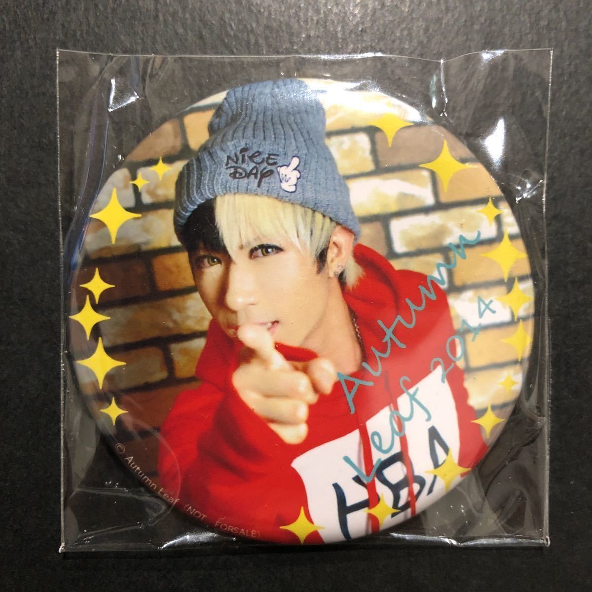 新品☆オータムリーフ 缶バッジ④【2014年 ゴールデンボンバー 歌広場淳 特典 Autumn Leaf 限定 実写 グッズ】拍卖