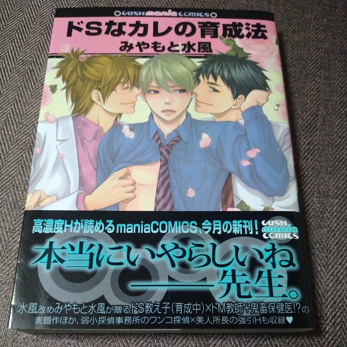 イラスト入り直筆サイン本「ドSな彼の育成法」みやもと水風 特典ブロマイド付き拍卖