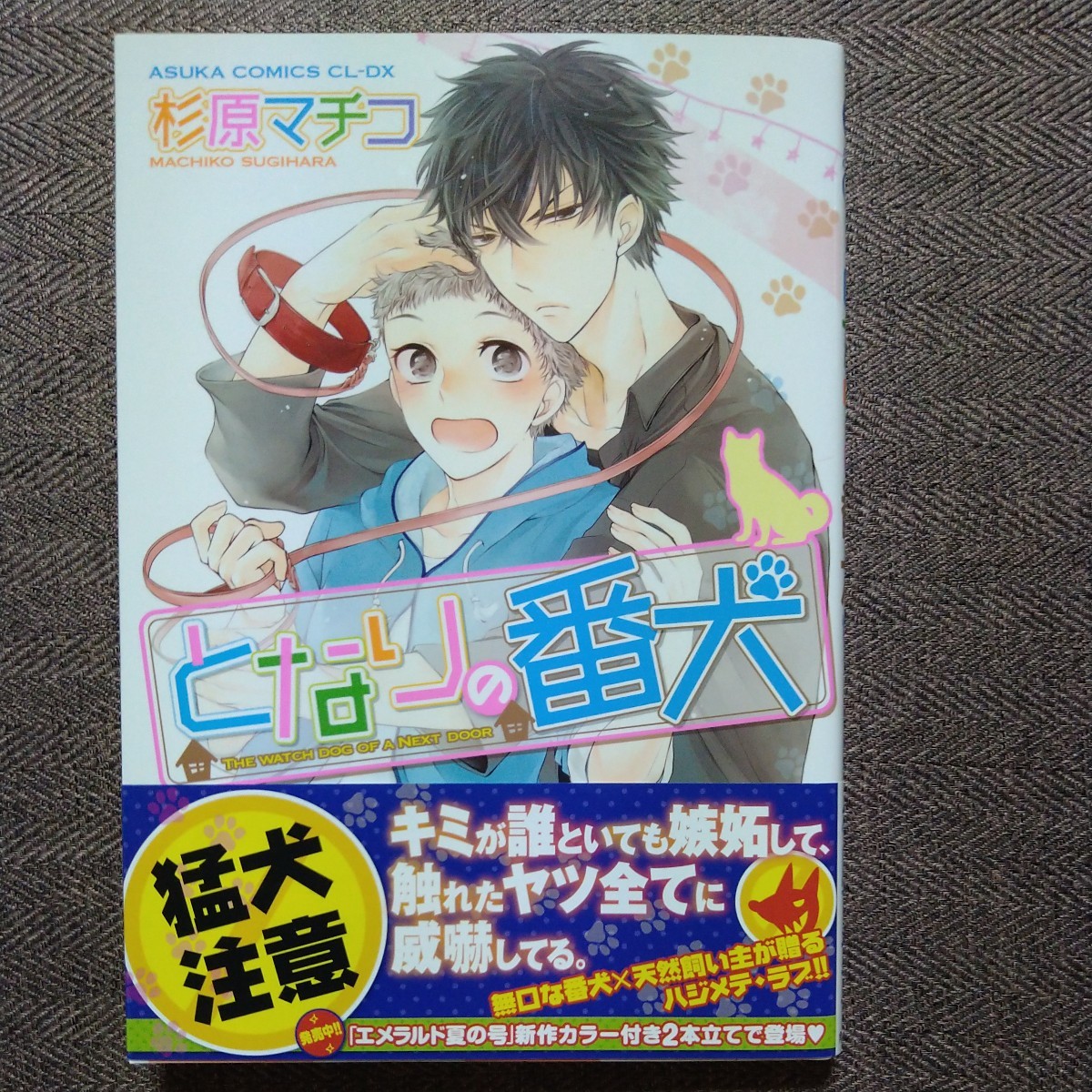 直筆サイン本「となりの番犬」杉原マチコ拍卖