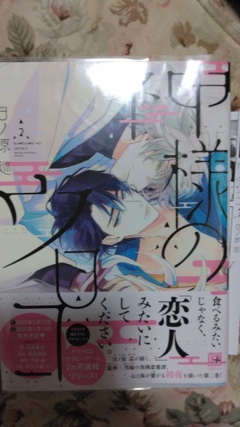 おまけペーパー付き★BLC日ノ原巡「神様のウロコ2」Dear+コミックス拍卖