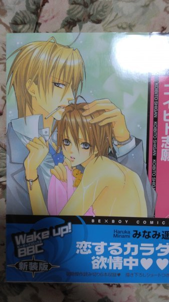 即決★BLCみなみ遥「コイビト志願」ビーボーイコミックス拍卖