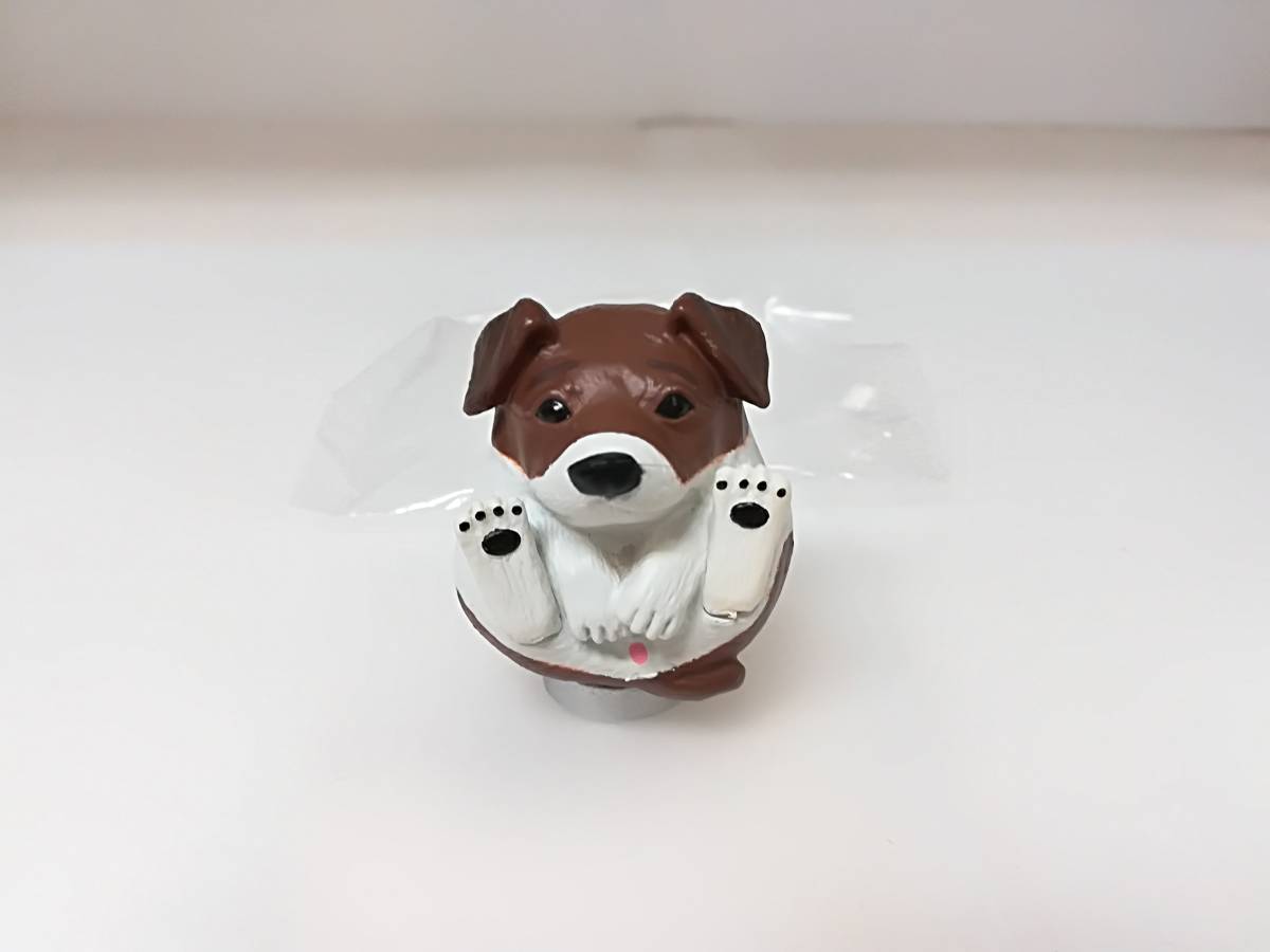 ●未使用 まんまるいぬ 人気者編 ジャック・ラッセルテリア フィギュア まんまるどうぶつ ガチャ ガシャ拍卖