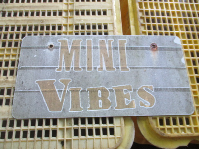 ★☆99X ローバーミニ ナンバーブラケット☆★拍卖