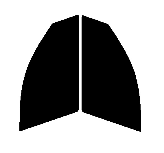 ハーフスモーク 76% 運転席、助手席 BMW 3シリーズ ツーリング E91 カット済みフィルム拍卖