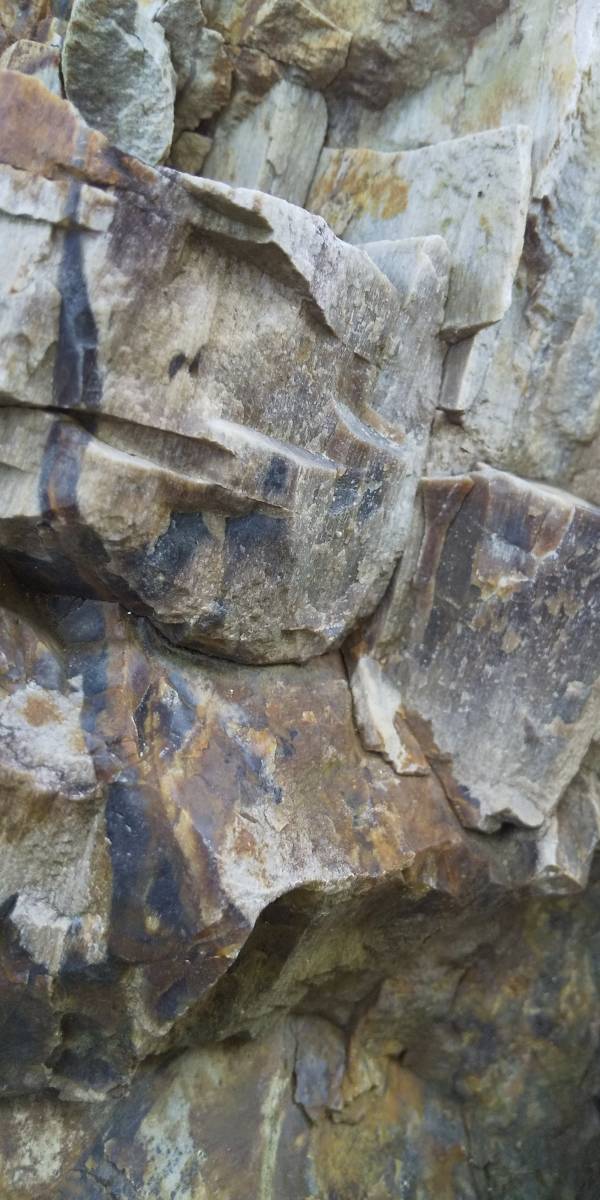 瑪瑙珪化木 1 水石 名石 銘石 庭石 鑑賞石拍卖