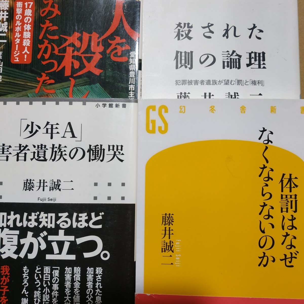 藤井誠二4冊 人を殺してみたかった 殺された側の論理 体罰はなぜなくならないのか 少年A被害者遺族の慟哭 殺人 少年犯罪 送料210円数冊格安拍卖