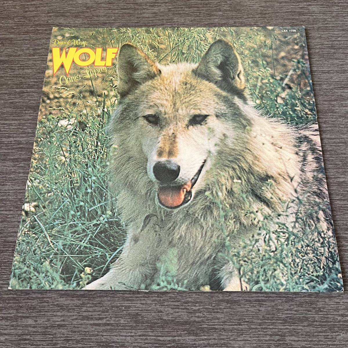 【国内盤】DARRYL way's wolf Canis Lupus ダリルウェイとウルフ/ LP レコード / LAX1036 / ライナー有 / プログレ /拍卖