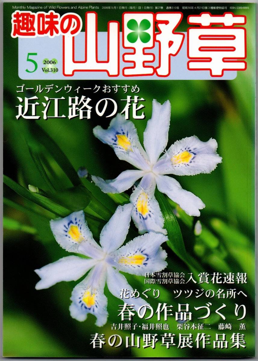 108* 趣味の山野草 2006年 05月号 近江路の花 春の作品つくり ツツジの名所へ拍卖