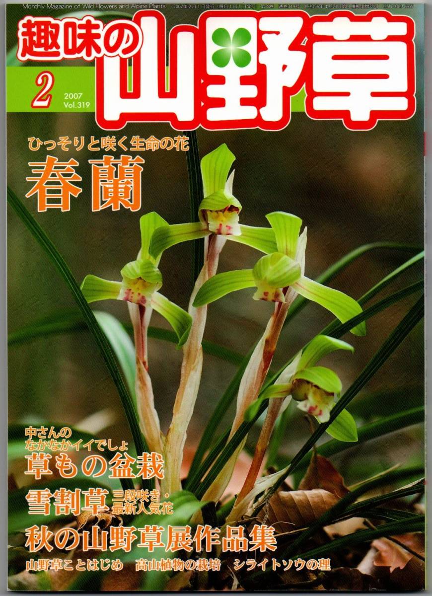 108* 趣味の山野草 2007年 02月号 春蘭2 雪割草2 草もの盆栽拍卖
